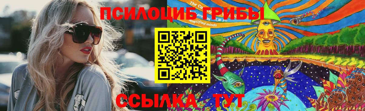 Псилоцибиновые грибы Psilocybine cubensis Назарово