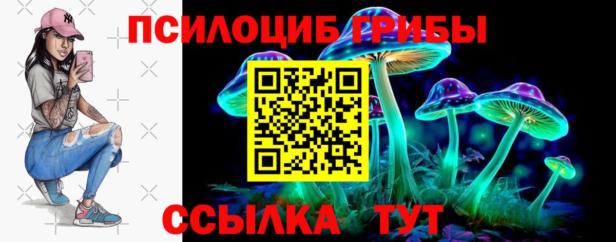 Псилоцибиновые грибы MAGIC MUSHROOMS  Вход с VPN  Назарово 