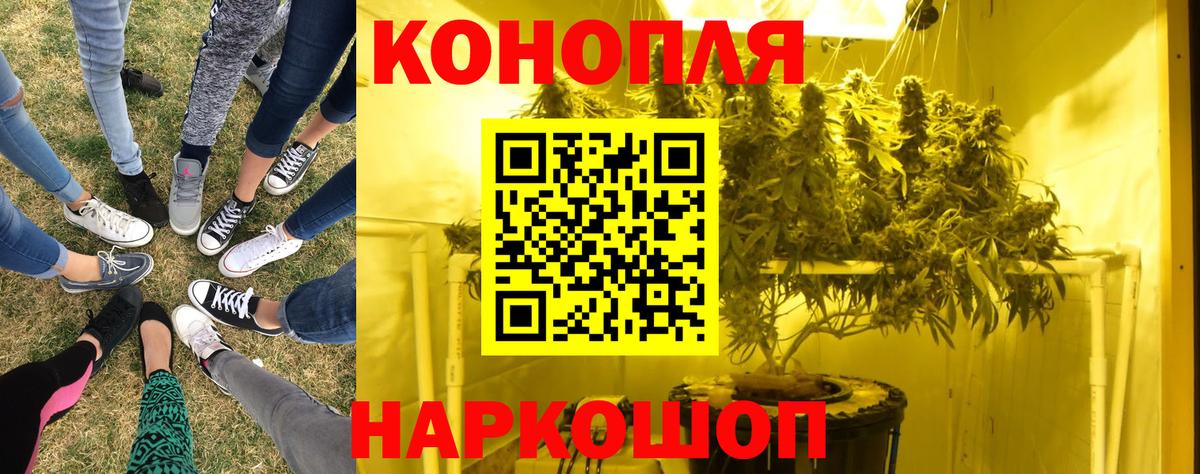 Шишки марихуана семена Назарово
